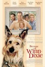 Watch Because of Winn-Dixie 1channel