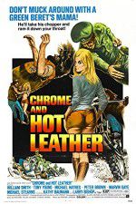 Watch Chrome and Hot Leather 1channel