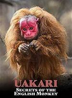 Watch Uakari: Secrets of the English Monkey 1channel