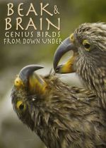 Watch Beak & Brain - Genius Birds from Down Under 1channel