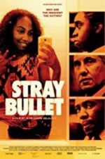 Watch Stray Bullet 1channel