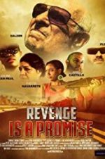 Watch Revenge Is a Promise 1channel