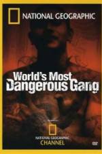 Watch National Geographic World's Most Dangerous Gang 1channel
