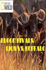 Watch National Geographic - Blood Rivals: Lion vs. Buffalo 1channel