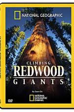 Watch National Geographic Explorer: Climbing Redwood Giants 1channel