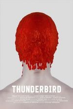 Watch Thunderbird 1channel