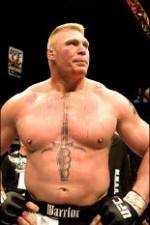 Watch Brock Lesnar 7 Fights 1channel