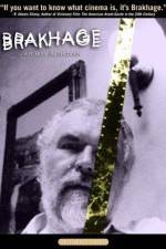 Watch Brakhage 1channel