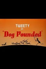 Watch Dog Pounded (Short 1954) 1channel