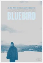 Watch Bluebird 1channel