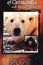 Watch The Polar Bears of Churchill with Ewan McGregor 1channel
