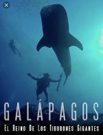 Watch Galapagos: Realm of Giant Sharks 1channel