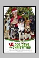 Watch 12 Dog Days of Christmas 1channel