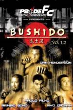 Watch Pride Bushido 12 1channel