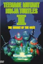 Watch Teenage Mutant Ninja Turtles II: The Secret of the Ooze 1channel
