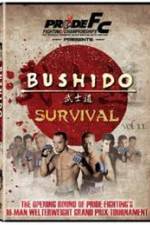 Watch Pride Bushido 11 1channel