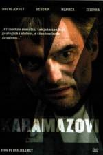 Watch The Karamazov Brothers 1channel