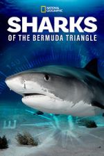 Watch Sharks of the Bermuda Triangle (TV Special 2020) 1channel