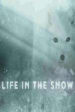 Watch Life in the Snow 1channel