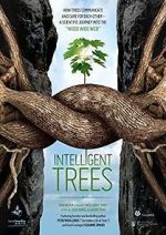 Watch Intelligent Trees 1channel