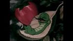 Watch The Wacky Worm (Short 1941) 1channel