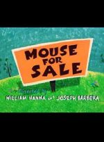 Watch Mouse for Sale 1channel