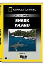 Watch National Geographic: Shark Island 1channel