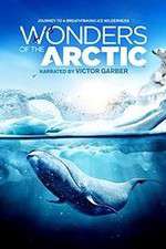 Watch Wonders of the Arctic 3D 1channel