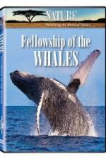 Watch Fellowship Of The Whales 1channel