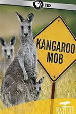 Watch Kangaroo Mob 1channel