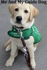 Watch Me And My Guide Dog 1channel