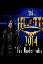 Watch WWE Hall Of Fame 2014 1channel