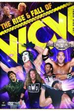 Watch WWE The Rise and Fall of WCW 1channel