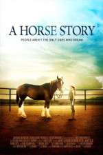 Watch A Horse Story 1channel