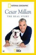 Watch Cesar Millan: The Real Story 1channel