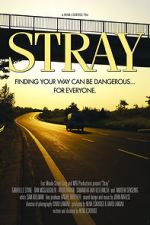 Watch Stray 1channel