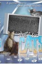 Watch Shorts for Cats 1channel