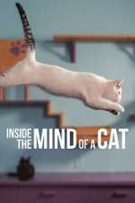 Watch Inside the Mind of a Cat 1channel