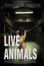 Watch Live Animals 1channel