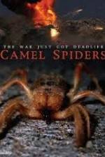 Watch Camel Spiders 1channel