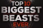 Watch Top 10 Biggest Beasts Ever 1channel