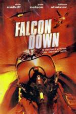 Watch Falcon Down 1channel