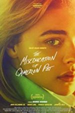 Watch The Miseducation of Cameron Post 1channel
