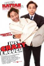 Watch Just Crazy Enough 1channel
