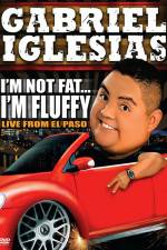 Watch Gabriel Iglesias I'm Not Fat I'm Fluffy 1channel