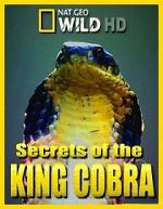 Watch Secrets of the King Cobra 1channel