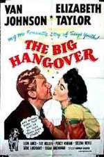 Watch The Big Hangover 1channel