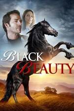 Watch Black Beauty 1channel