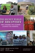 Watch The Secret World of Recovery 1channel