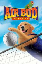 Watch Air Bud: Spikes Back 1channel